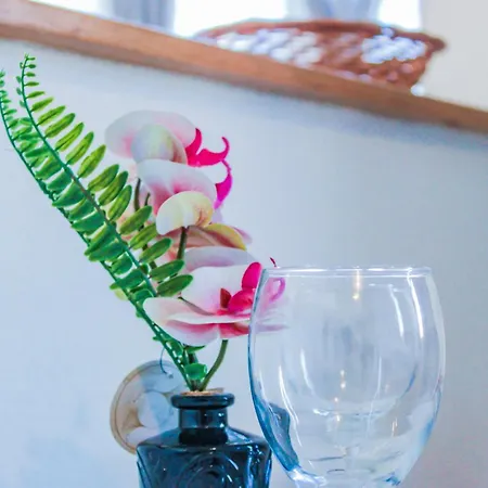 En Plein Centre Proche Du Tram 公寓