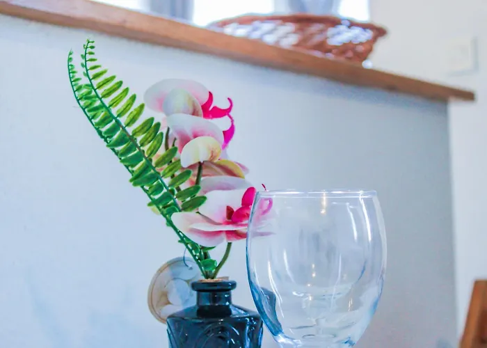 En Plein Centre Proche Du Tram Apartment